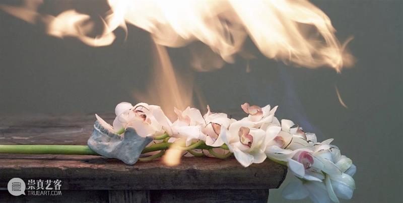 PAM新展 | “以花之名”,八月绽放 PAM PAM 新展 Flower Museum Shanghai 繁花 此处 国际 当代 艺术家群 崇真艺客